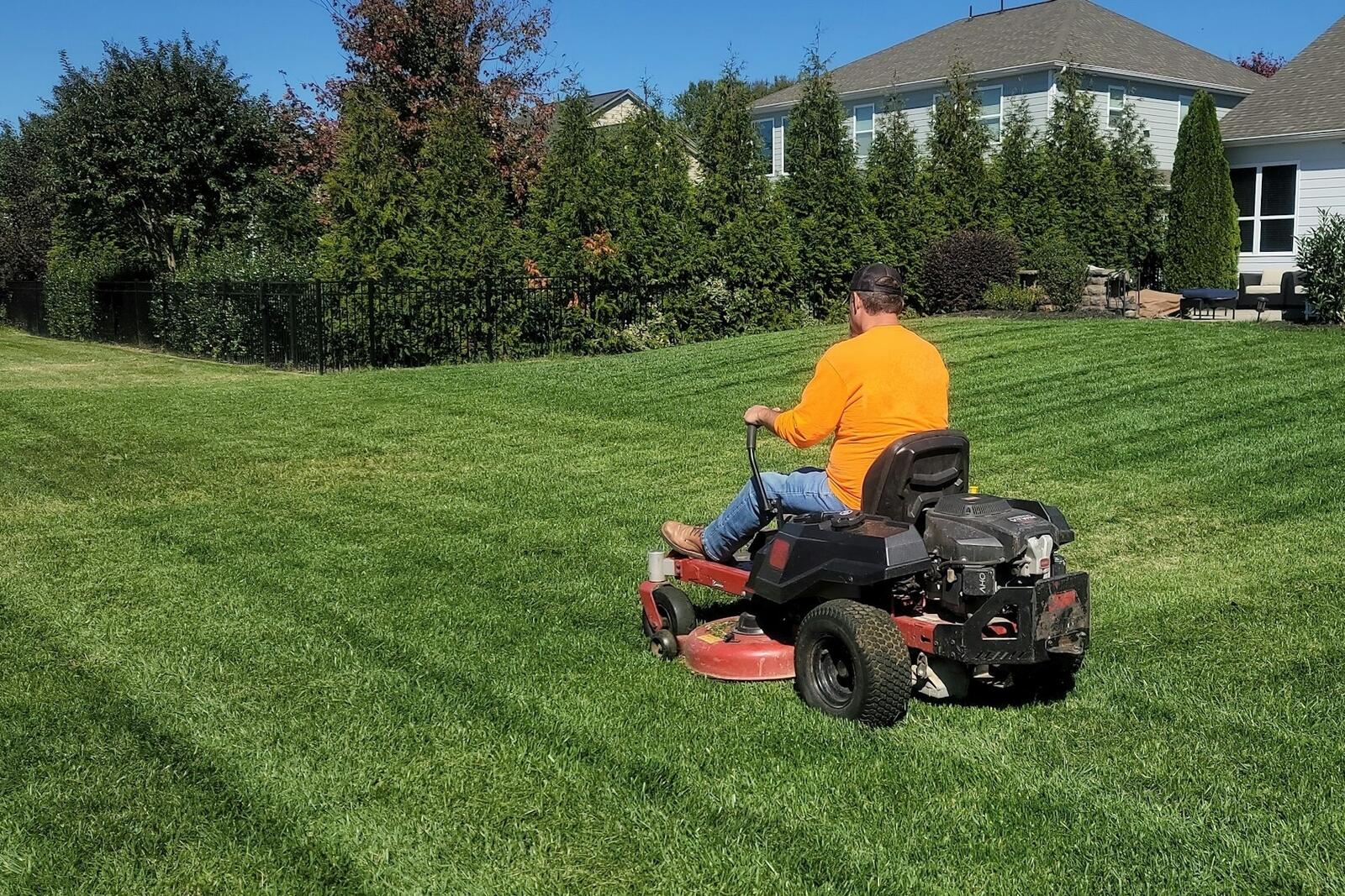 A man on a riding mower striping a suburban lawn, seen from behind